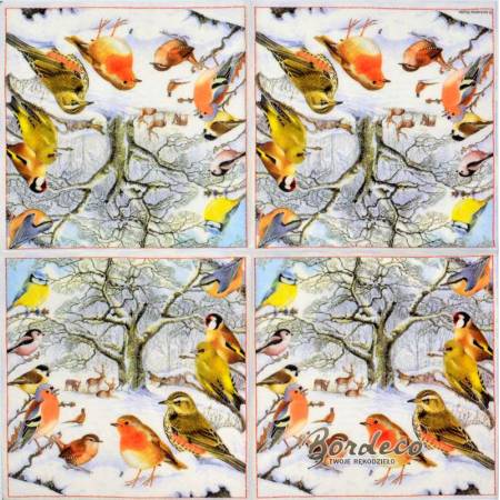 Serwetka decoupage firmy AMBIENTE ptaszki i jelonki 33x33cm